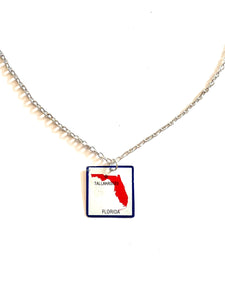 Florida Tin Necklace